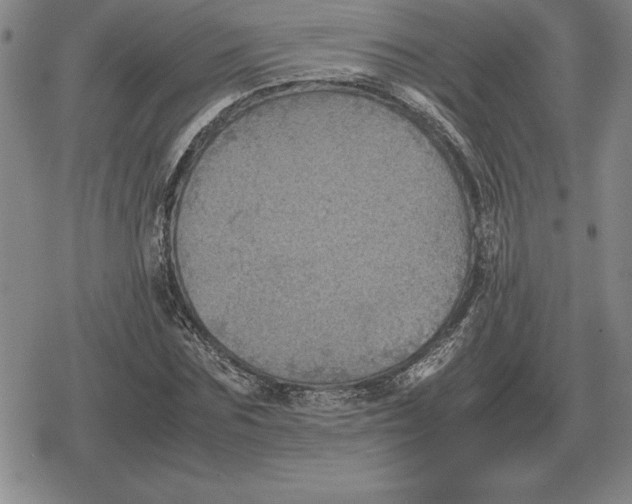 X0000079280875200612081750