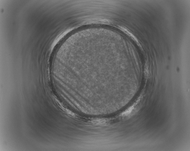 X0000079280877200612081750