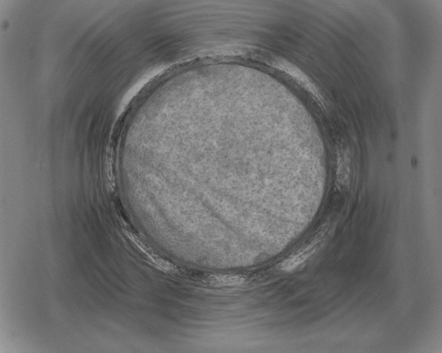 X0000079280878200612081750