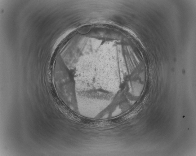 X0000079280879200612081750