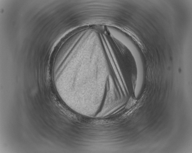 X0000079280880200612081750