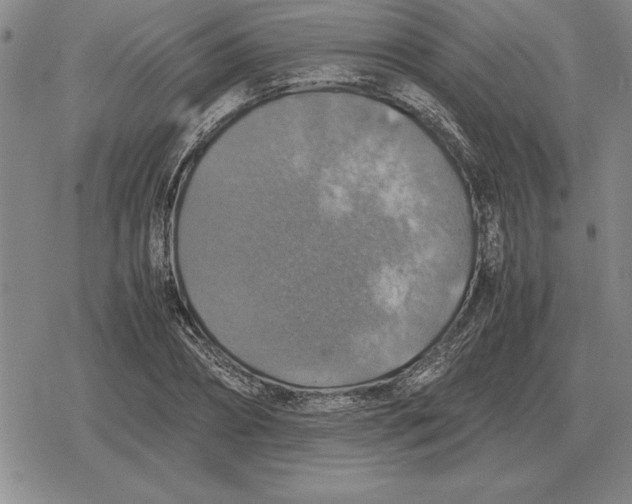 X0000079280882200612081750