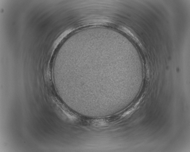 X0000079280883200612081750