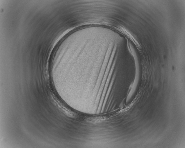 X0000079280884200612081750