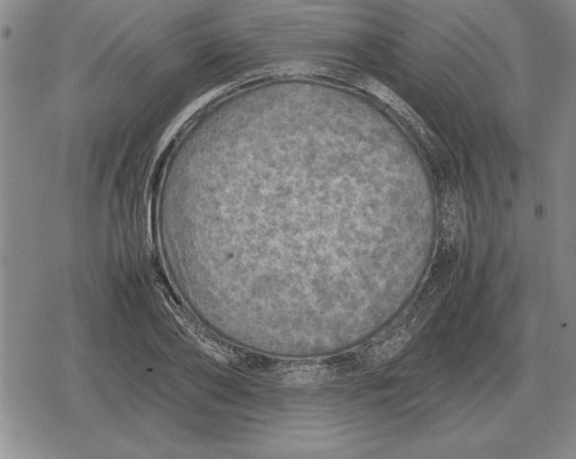 X0000079280886200612081750