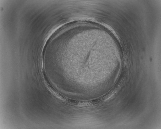 X0000079280887200612081750