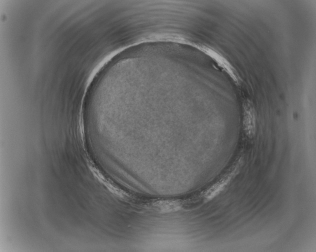 X0000079280888200612081750