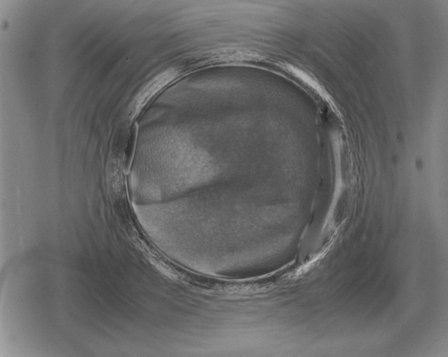 X0000079280889200612081750