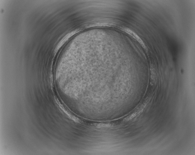 X0000079280890200612081750