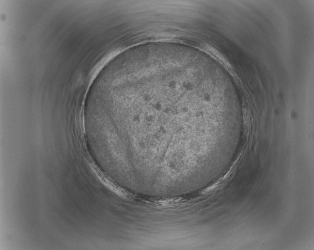 X0000079280891200612081750