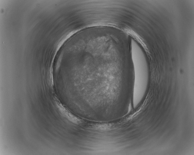 X0000079280892200612081750