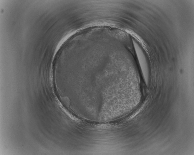 X0000079280894200612081750