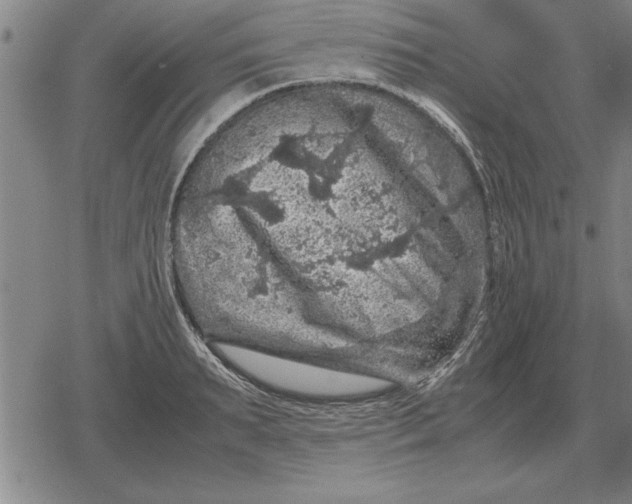 X0000079280895200612081750