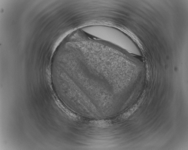 X0000079280896200612081750