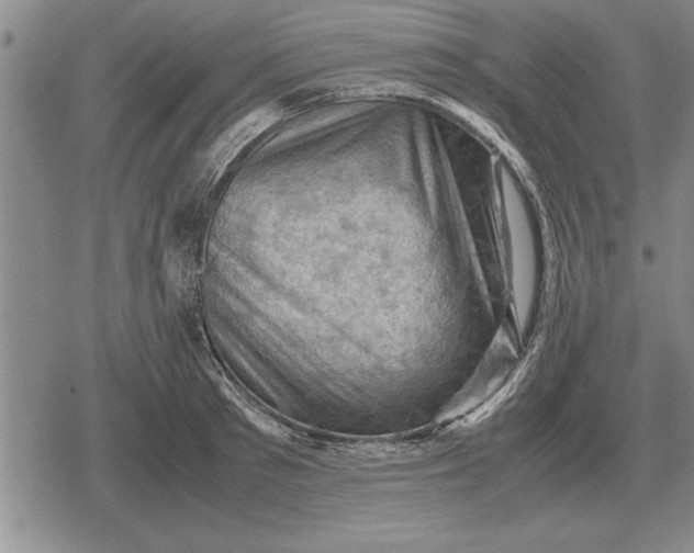 X0000079280897200612081750