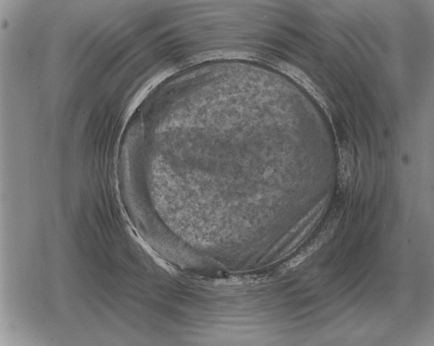 X0000079280898200612081750