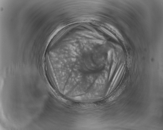 X0000079280899200612081750