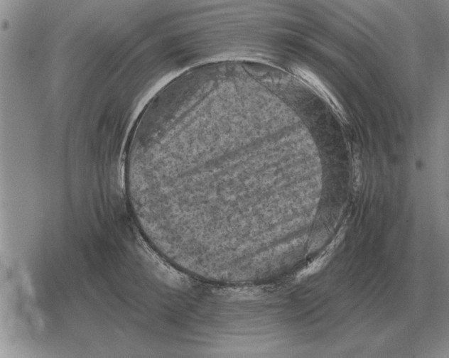 X0000079280900200612081750