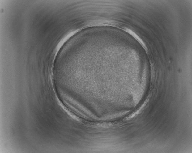 X0000079280901200612081750