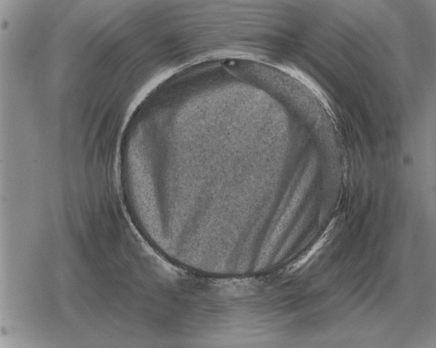 X0000079280902200612081750