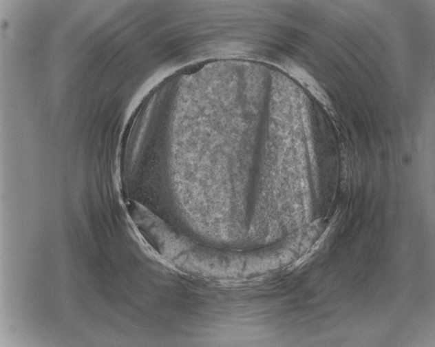 X0000079280904200612081750