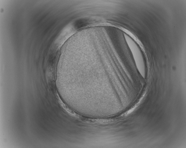 X0000079280905200612081750