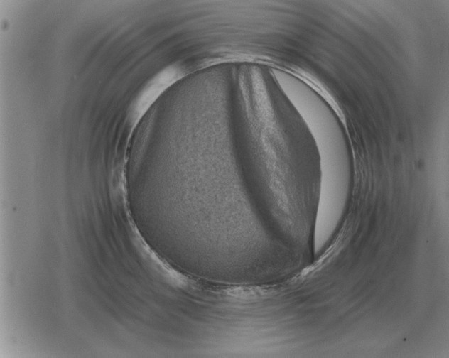 X0000079280906200612081750