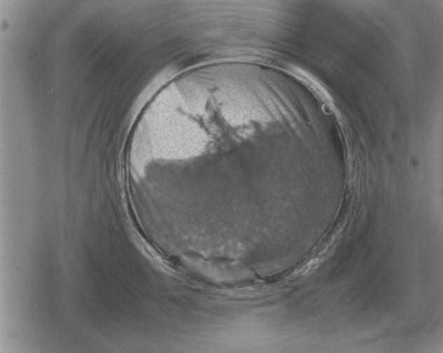 X0000079280907200612081750