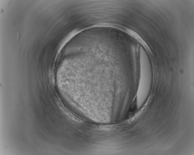 X0000079280908200612081750