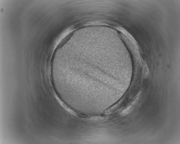 X0000079280909200612081750