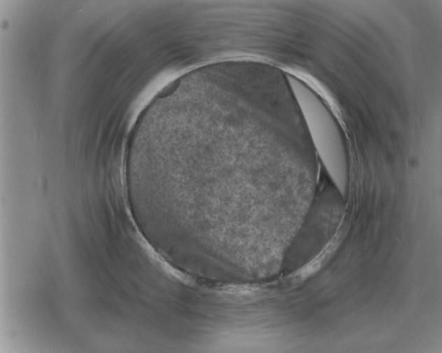 X0000079280910200612081750