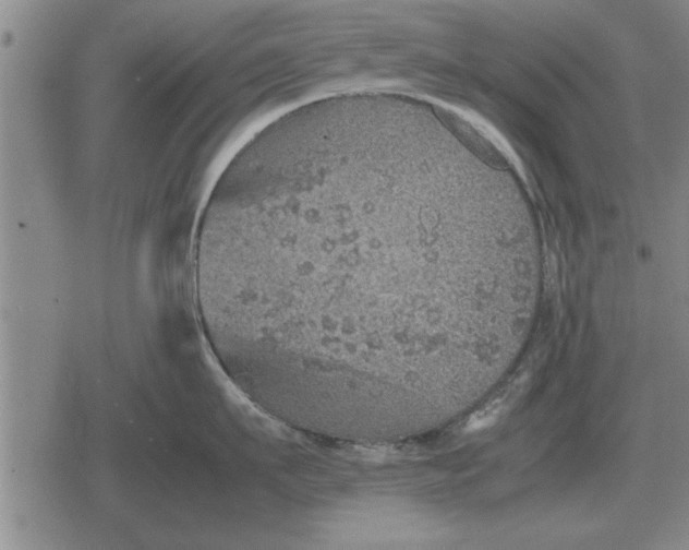 X0000079280911200612081750