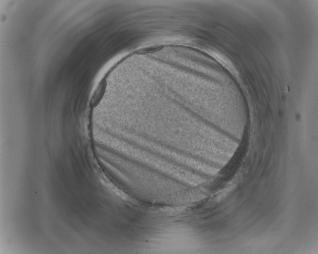 X0000079280912200612081750