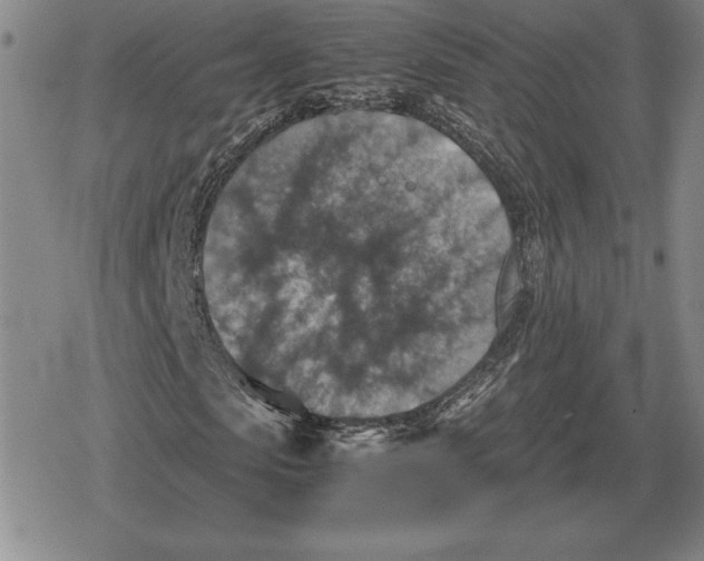 X0000079280913200612081749