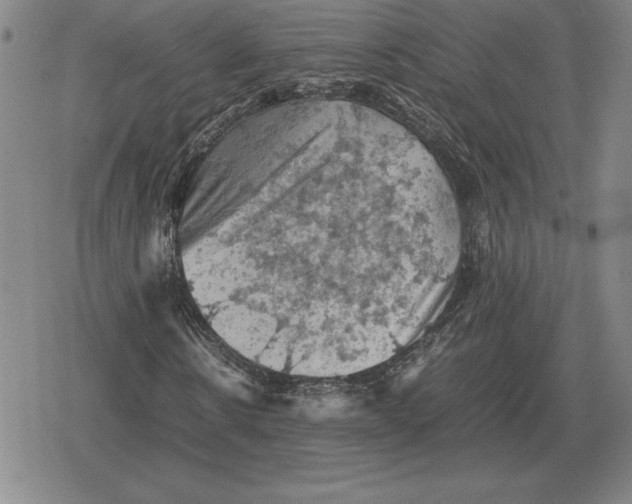 X0000079280914200612081749