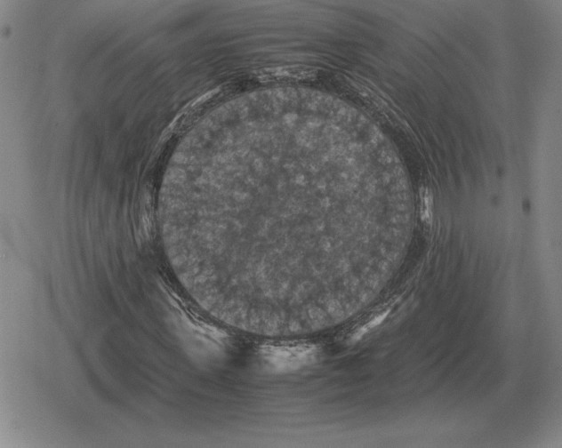 X0000079280915200612081749