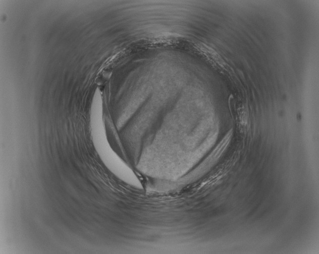 X0000079280916200612081749