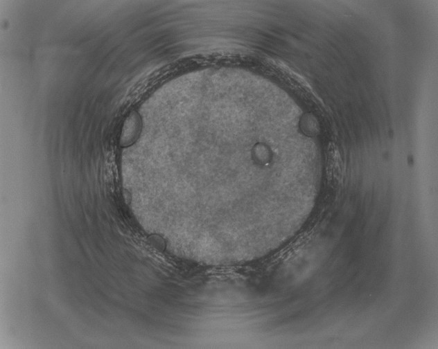 X0000079280918200612081749