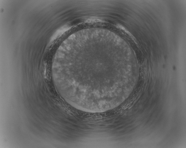 X0000079280919200612081749