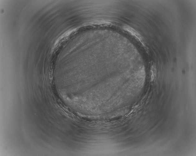 X0000079280920200612081749