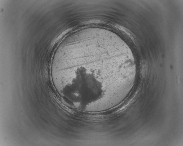 X0000079280921200612081749