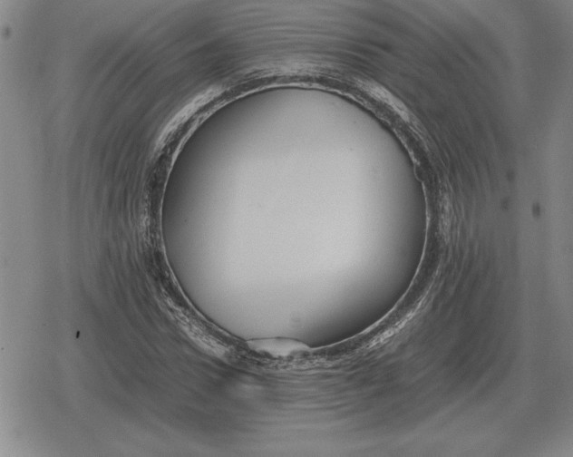 X0000079280922200612081749