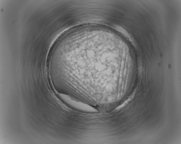 X0000079280924200612081749