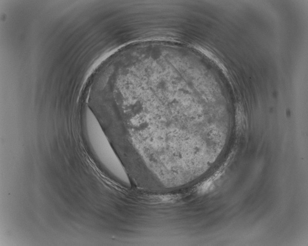 X0000079280925200612081749