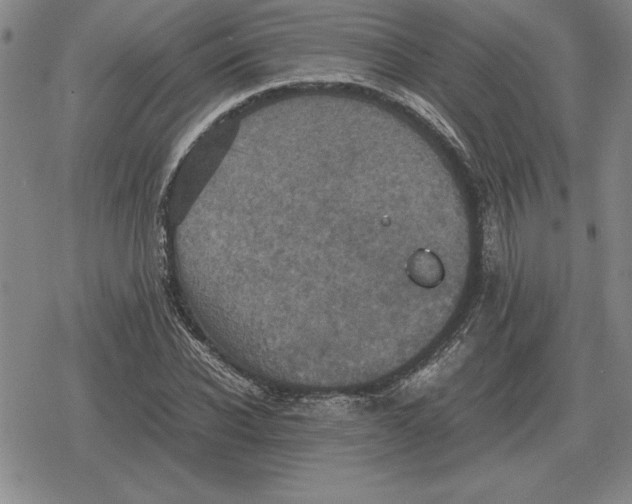 X0000079280926200612081749