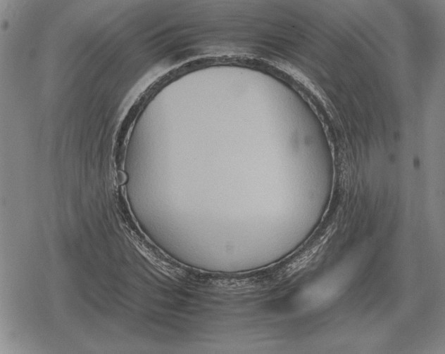 X0000079280927200612081749