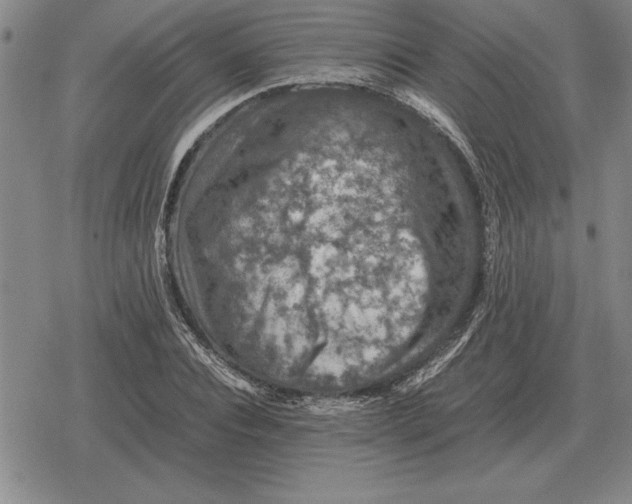 X0000079280928200612081749