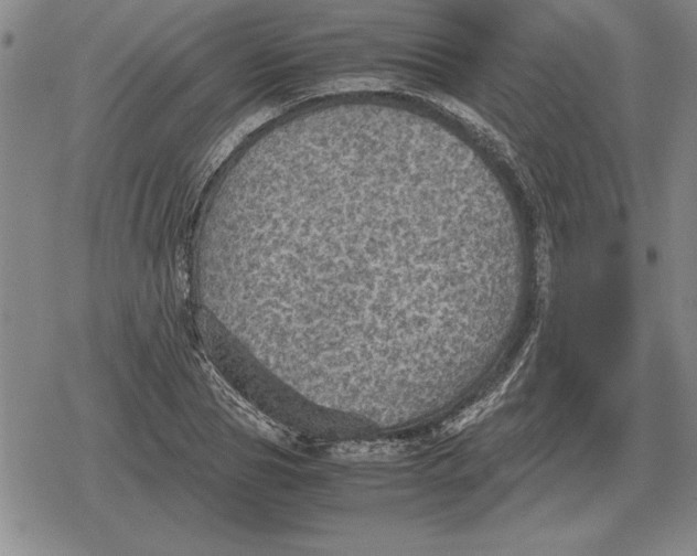 X0000079280929200612081749