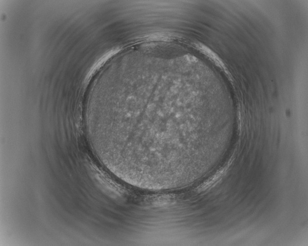 X0000079280930200612081749