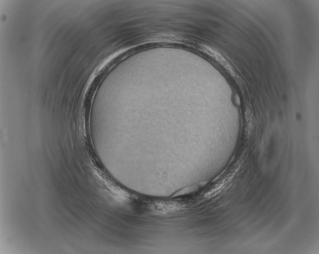 X0000079280931200612081749